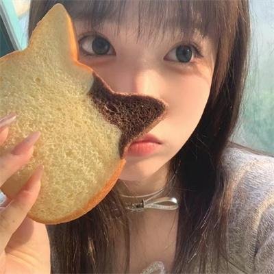 双面骗子虚假警察第二季